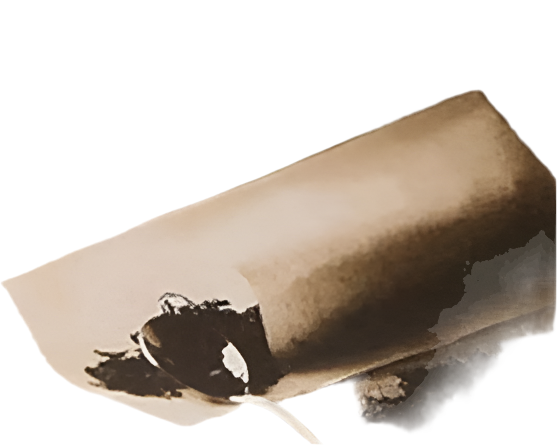 Lege theezakjes - 50 STUKS